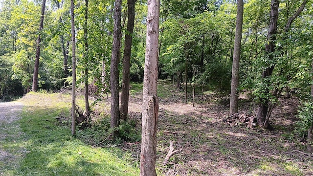 0 Township Road 128 Se (Turkey Run Tract 4), New Lexington, OH 43764 - photo 23