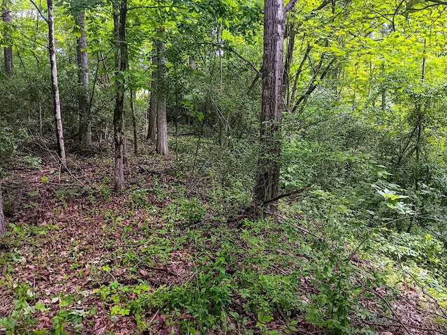 0 Township Road 128 Se (Turkey Run Tract 4), New Lexington, OH 43764 - photo 28