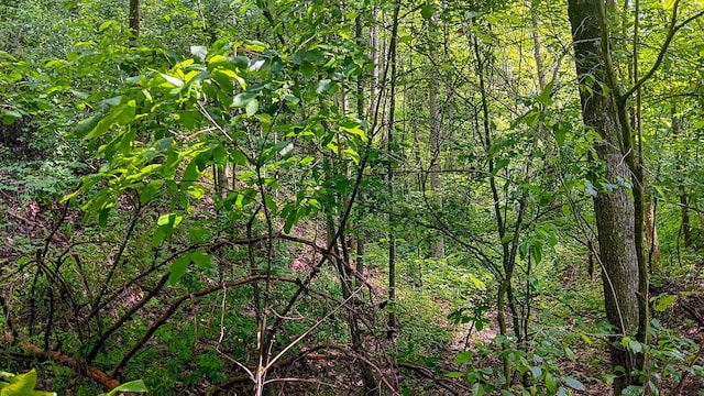 0 Township Road 128 Se (Turkey Run Tract 4), New Lexington, OH 43764 - photo 31
