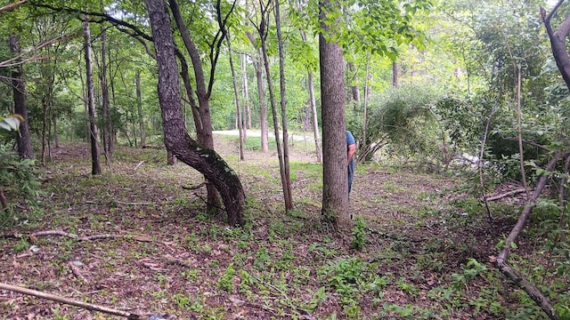 0 Township Road 128 Se (Turkey Run Tract 4), New Lexington, OH 43764 - photo 35