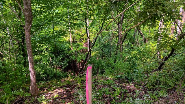 0 Township Road 128 Se (Turkey Run Tract 4), New Lexington, OH 43764 - photo 36