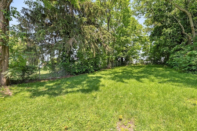 223 E 2nd St, Mansfield, OH 44902 - view of yard