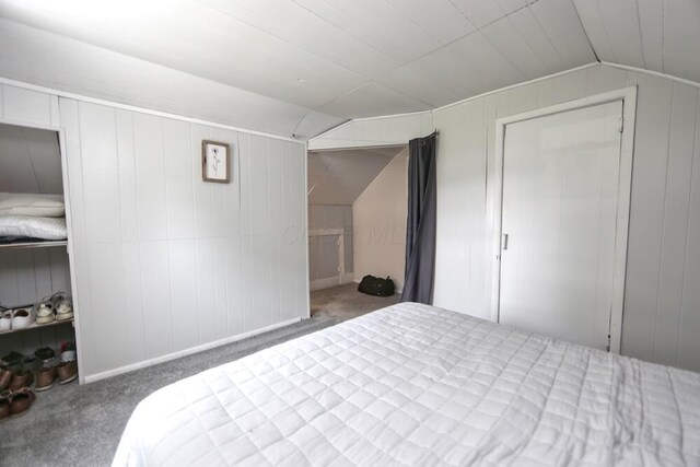 93 E 6th St, Fredericktown, OH 43019 - bedroom with lofted ceiling, carpet flooring, and wood walls