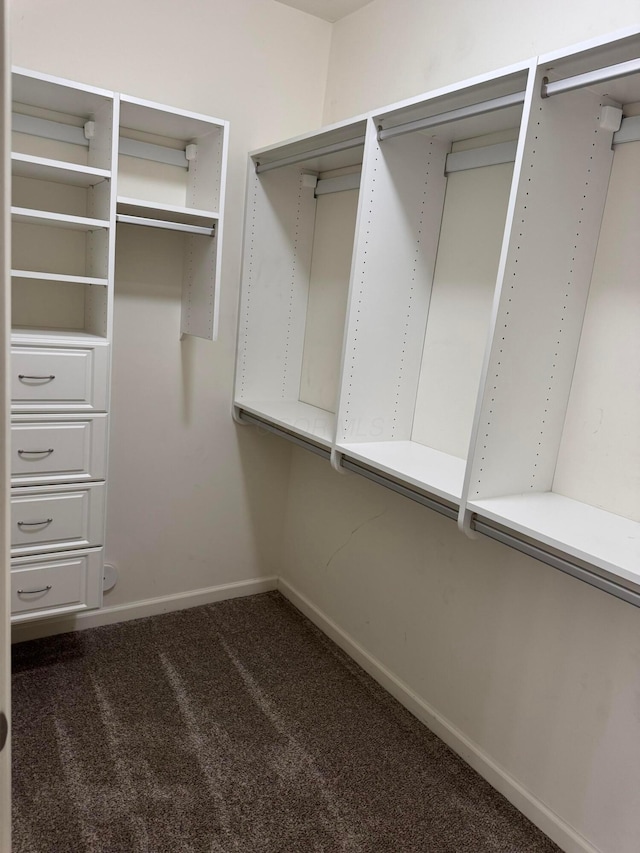3757 Birkland Cir, Lewis Center, OH 43035 - walk in closet with carpet