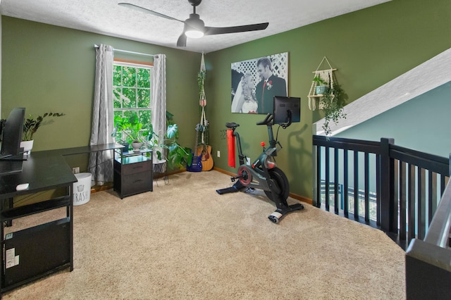 168 Thornapple Trl, Delaware, OH 43015 - workout room with a ceiling fan, carpet flooring, and a textured ceiling