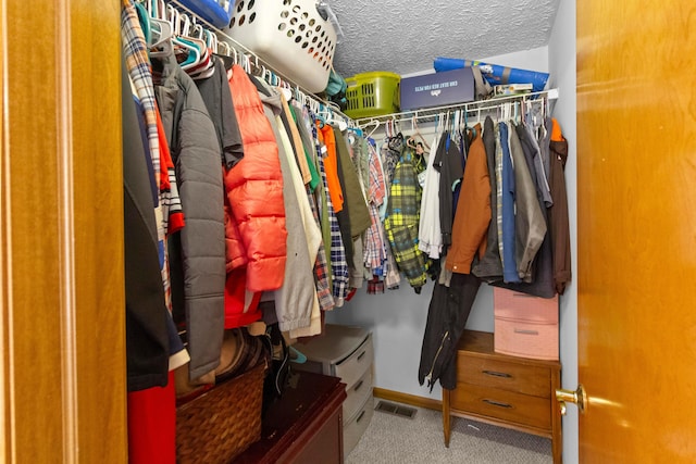 168 Thornapple Trl, Delaware, OH 43015 - spacious closet featuring carpet floors