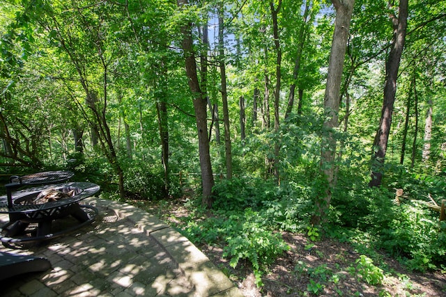 168 Thornapple Trl, Delaware, OH 43015 - view of patio with an outdoor fire pit and a view of trees