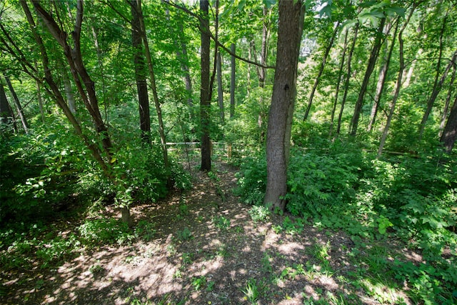 168 Thornapple Trl, Delaware, OH 43015 - view of woods