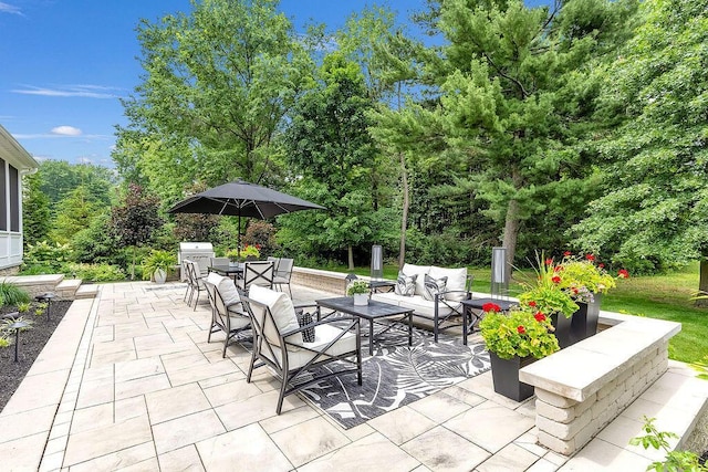 3017 Highland Woods Blvd, New Albany, OH 43054 - view of patio with outdoor dining area, an outdoor living space, and a grill