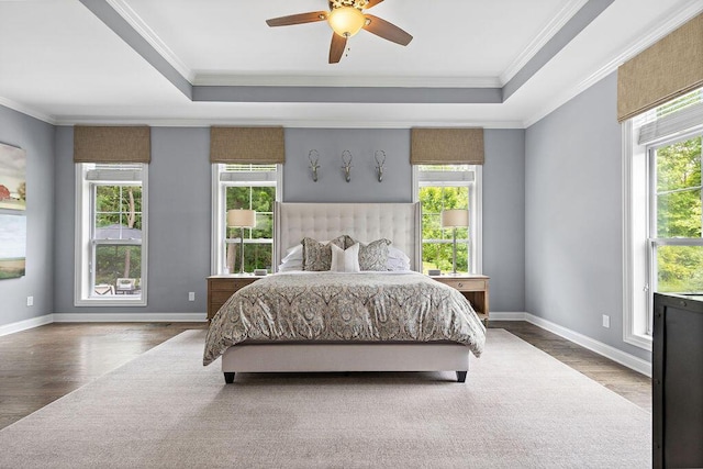 3017 Highland Woods Blvd, New Albany, OH 43054 - bedroom with wood finished floors, multiple windows, ornamental molding, and a raised ceiling