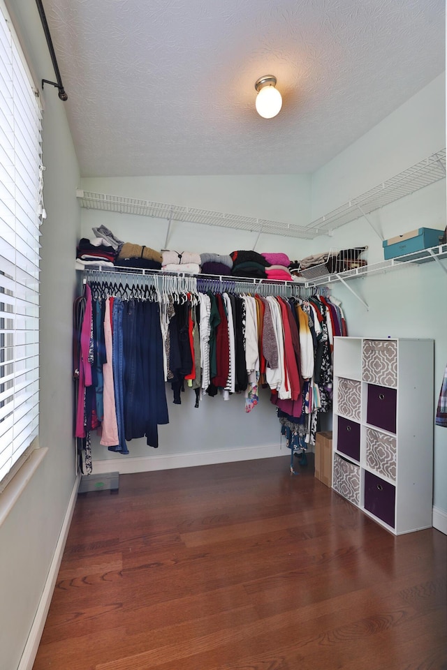 5983 Epernay Way, Galloway, OH 43119 - walk in closet with wood finished floors