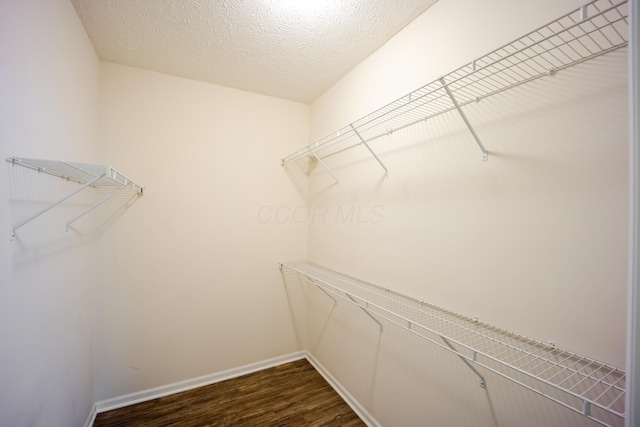 147 Shadymere Ln, Columbus, OH 43213 - spacious closet featuring dark wood finished floors