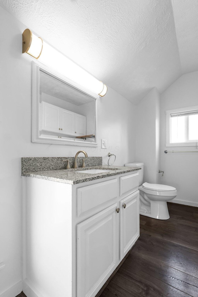 212 S Pickaway St, Circleville, OH 43113 - half bath with lofted ceiling, wood finished floors, vanity, and a textured ceiling