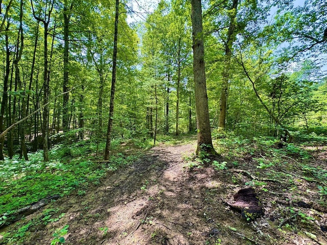 0 Township Road 318 SE, Corning, OH 43730