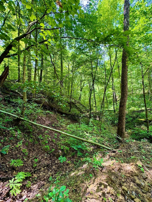 0 Township Road 318 SE, Corning, OH 43730