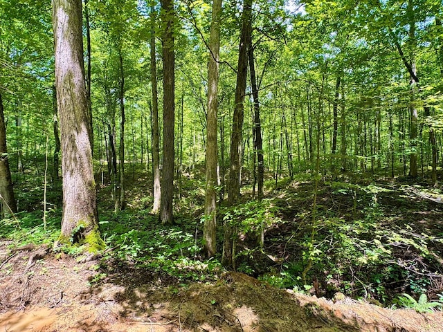 0 Township Road 318 SE, Corning, OH 43730