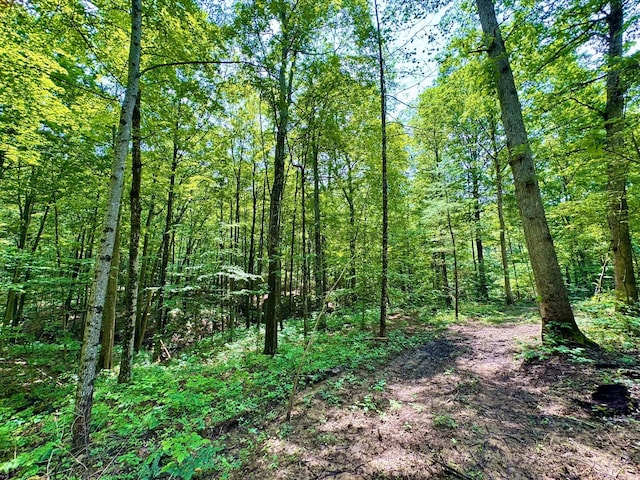 0 Township Road 318 SE, Corning, OH 43730