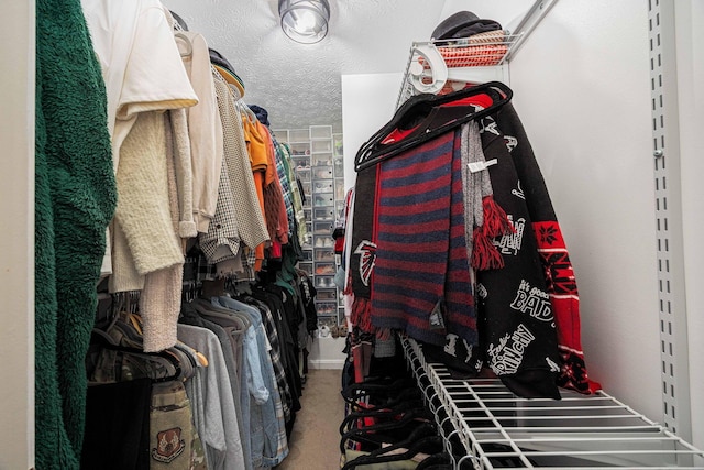 6838 Evergreen Cir, Dayton, OH 45424 - walk in closet with carpet floors