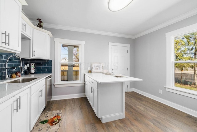 670-672 E Jenkins Ave, Columbus, OH 43207 - kitchen with a peninsula, dark wood-style flooring, tasteful backsplash, white cabinets, and crown molding