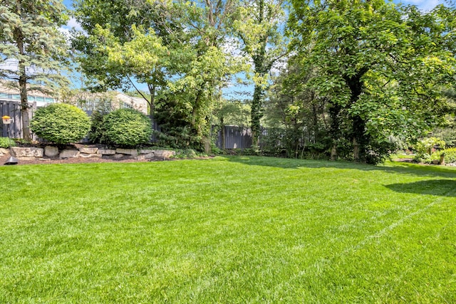 3917 Tarrington Ln, Columbus, OH 43220 - view of yard