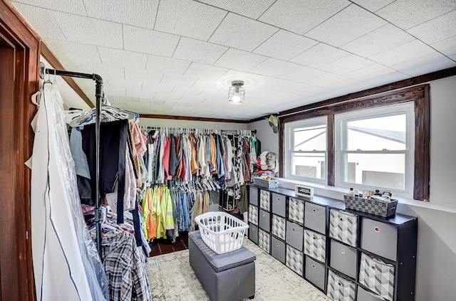 6997 State Route 734, Jamestown, OH 45335 - view of spacious closet