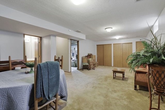 1104 Arbor Oaks Ln, Galloway, OH 43119 - bedroom featuring light carpet, multiple closets, and a textured ceiling