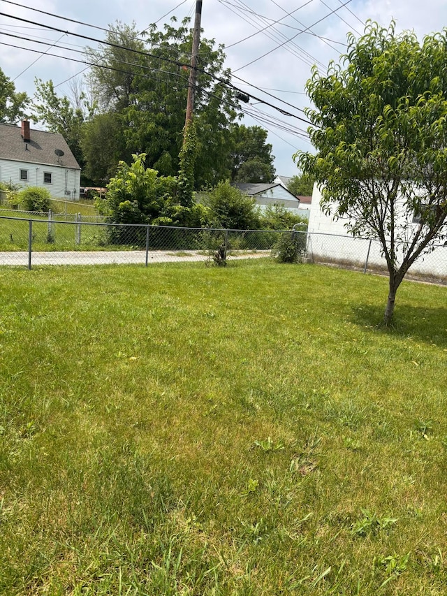 1155 E 26th Ave, Columbus, OH 43211 - view of yard