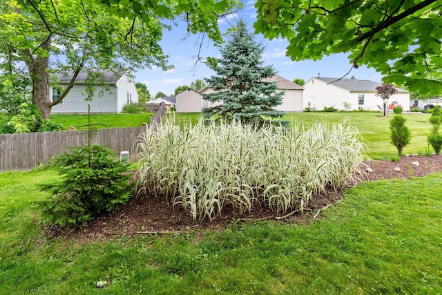 8621 Renford Ct, Powell, OH 43065 - view of yard