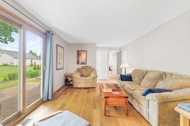 8621 Renford Ct, Powell, OH 43065 - living area featuring light wood-style floors and a textured ceiling