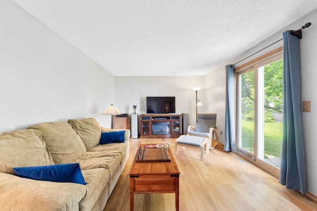 8621 Renford Ct, Powell, OH 43065 - living room featuring wood finished floors and a textured ceiling