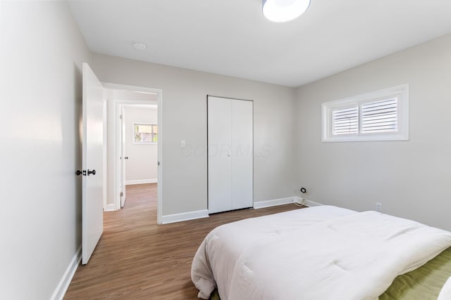 3920 Astor Ave, Columbus, OH 43227 - bedroom with wood finished floors and a closet
