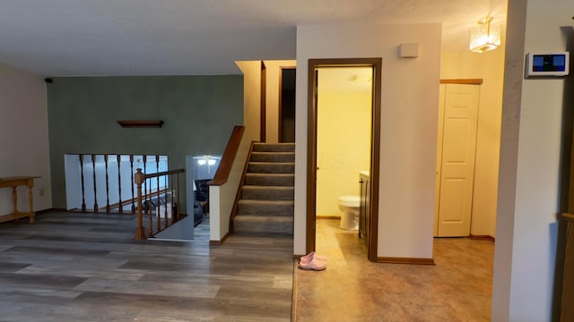 5109 Magnolia Blossom Blvd, Columbus, OH 43230 - stairs featuring wood finished floors and baseboards