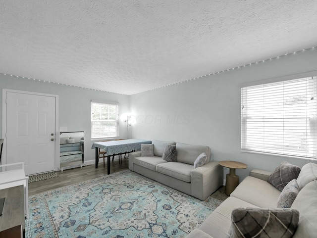 4809 King Albert Dr Unit 1A, Hilliard, OH 43026 - living room with wood finished floors and a textured ceiling
