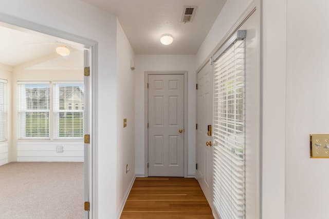 8209 Farm Crossing Cir, Powell, OH 43065 - hallway with healthy amount of natural light