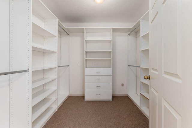 8209 Farm Crossing Cir, Powell, OH 43065 - walk in closet featuring carpet flooring