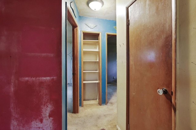 934-936 Kramer Ave, Columbus, OH 43212 - hall with carpet flooring