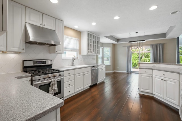 8020 Glenmore Dr, Powell, OH 43065 - kitchen featuring under cabinet range hood, appliances with stainless steel finishes, dark wood-style floors, white cabinets, and decorative backsplash