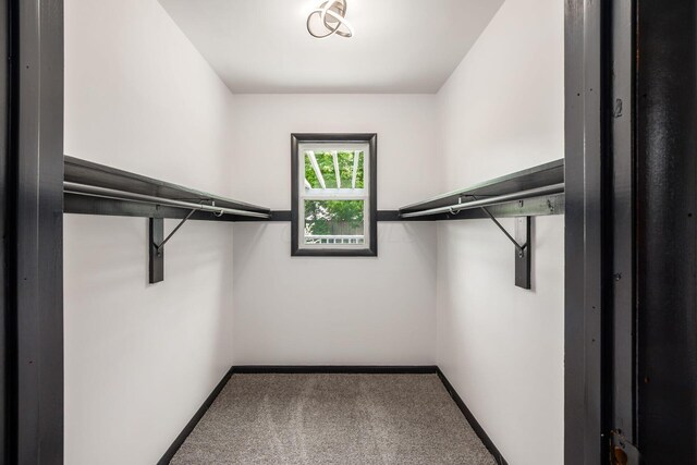 340 Danhurst Rd, Columbus, OH 43228 - walk in closet with carpet