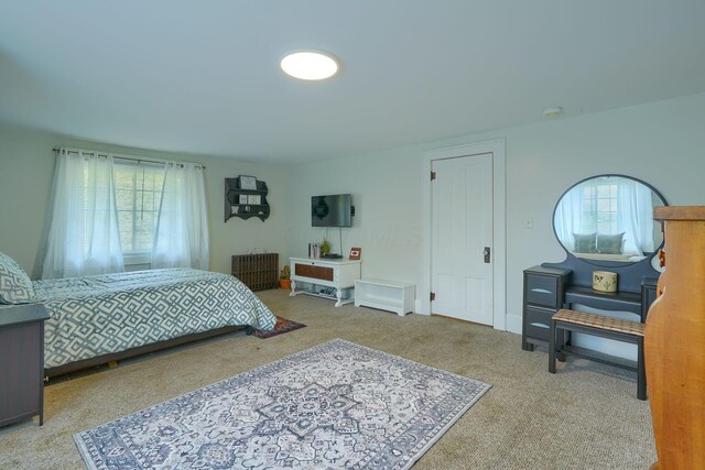 1980 Sitterley Rd NW, Canal Winchester, OH 43110 - photo 62