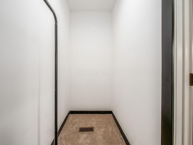 241 N 17th St, Columbus, OH 43203 - corridor featuring carpet flooring and baseboards