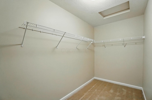 4358 Archway Ct, Grove City, OH 43123 - photo 36
