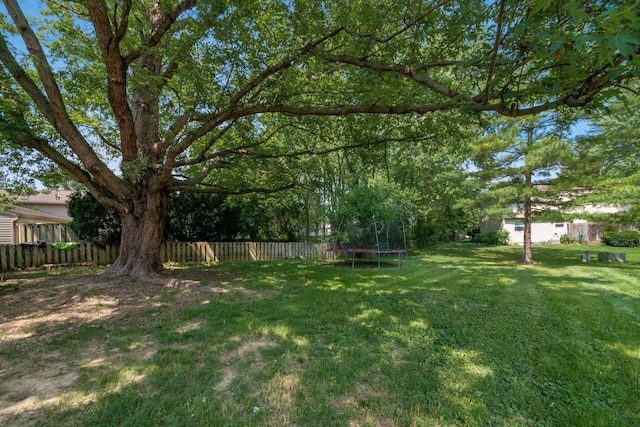 1908 Lost Valley Rd, Powell, OH 43065 - fenced backyard featuring a trampoline