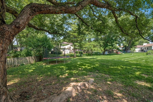 1908 Lost Valley Rd, Powell, OH 43065 - view of yard with a trampoline and a playground