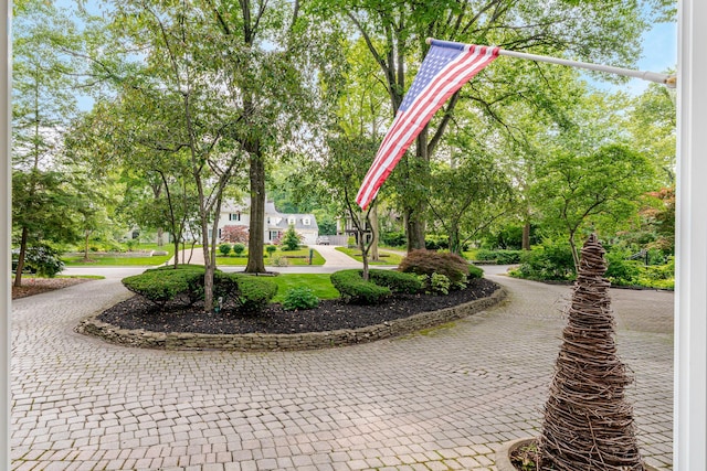 233 Preston Rd, Columbus, OH 43209 - view of community with view of scattered trees