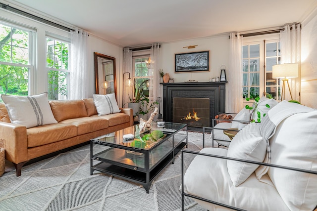 233 Preston Rd, Columbus, OH 43209 - living room featuring a lit fireplace