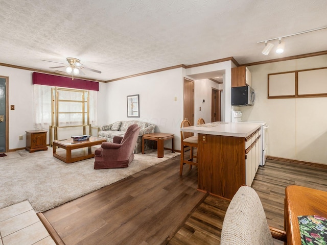 4401 Hammerton Dr Unit 13A, Columbus, OH 43228 - living area featuring crown molding, a ceiling fan, dark wood-type flooring, a textured ceiling, and rail lighting