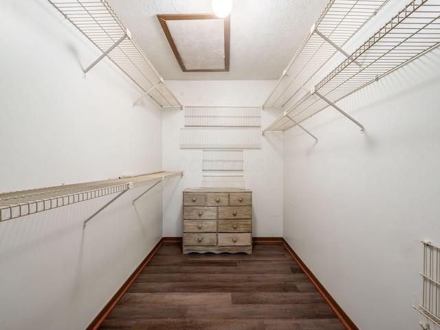 4401 Hammerton Dr Unit 13A, Columbus, OH 43228 - spacious closet with dark wood-style floors