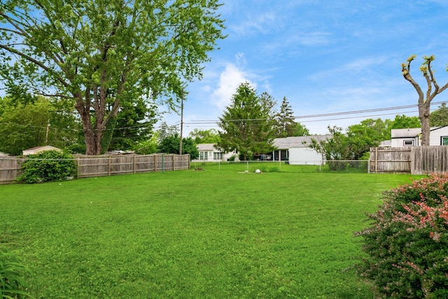 4388 Allen Dr, Columbus, OH 43213 - view of fenced backyard
