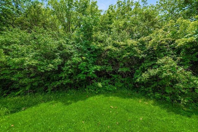 2840 Harnet Ct, Columbus, OH 43231 - view of local wilderness