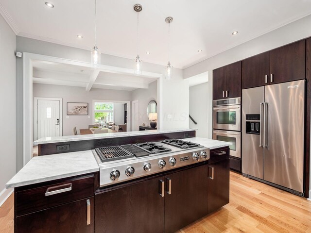 248 E Whittier St, Columbus, OH 43206 - kitchen featuring stainless steel appliances, light wood-style flooring, dark brown cabinetry, recessed lighting, and open floor plan